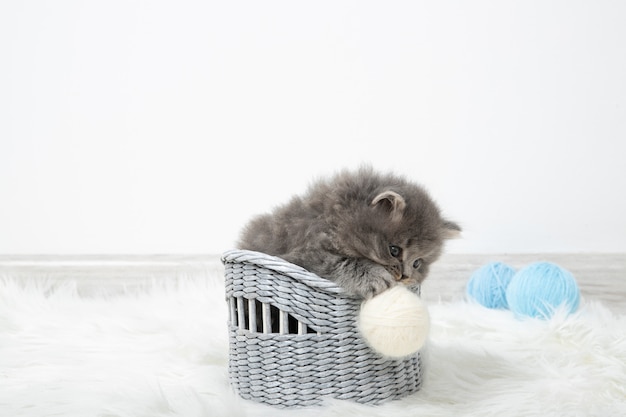 Gatito negro se sienta en una canasta y juega con una bola de hilo