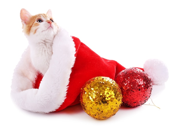 Gatito con sombrero de Navidad aislado en blanco