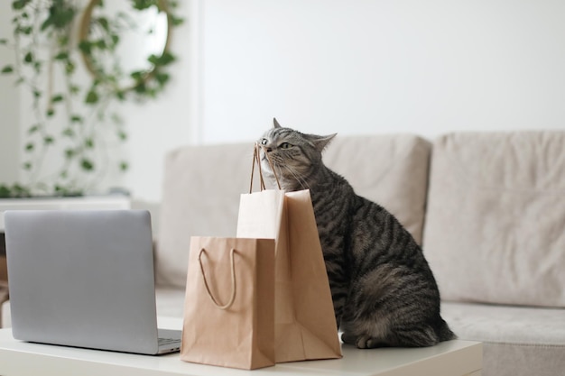 Un gato atigrado gris mirando bolsas de papel artesanales en el concepto de compras de entrega a domicilio protección ambiental