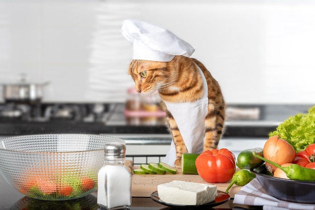 Gato de Bengala con gorra y delantal corta verduras para una ensalada griega