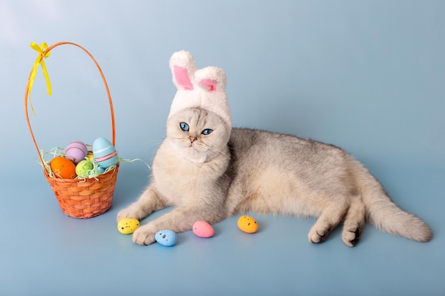 Gato blanco gracioso con sombrero con orejas de conejo y canasta de Pascua con huevos coloridos sobre fondo azul