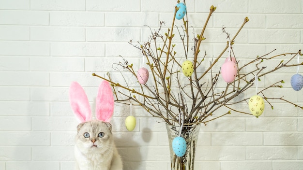 Un gato blanco con orejas de conejo Árbol de Pascua en un jarrón con huevos coloridos sobre un fondo blanco