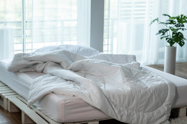 Gato blanco tendido en la cama en la casa