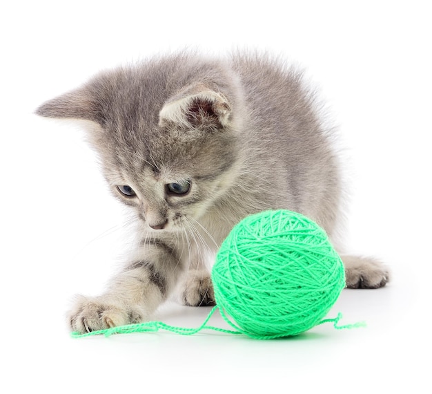 Gato con una bola de hilo