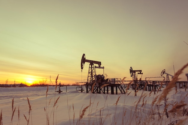 Gato de la bomba de aceite en un campo petrolífero. Fondo de cielo de puesta de sol de invierno. Extracción de aceite. Concepto de petróleo. Tonificado.