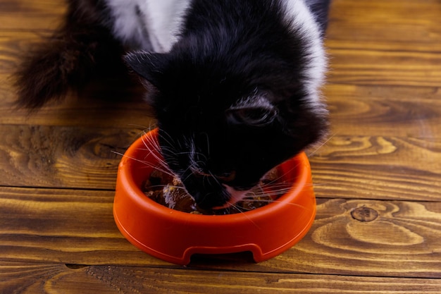 Gato bonito comendo sua comida da tigela de plástico laranja no chão de madeira