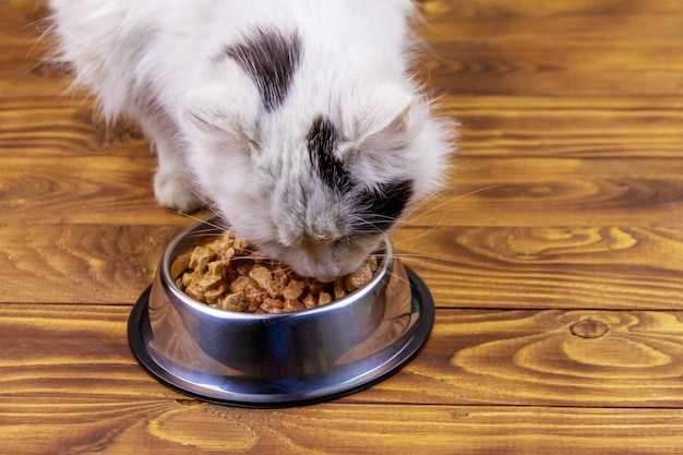 Foto gato bonito comendo sua comida de tigela de metal no piso de madeira