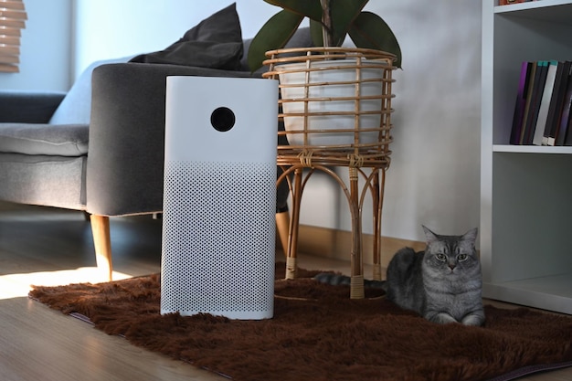 Gato bonito e purificador de ar com tela de monitor digital no chão na sala de estar Conceito de poluição do ar