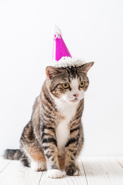 Gato com chapéu de festa