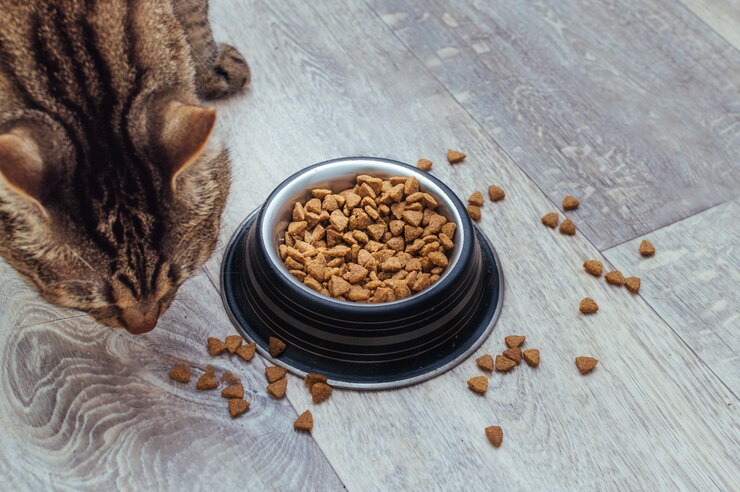 Gato come comida seca no chão da cozinha. comida está espalhada no chão