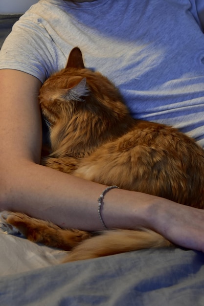 Gato de comprimento inteiro sentado ao ar livre