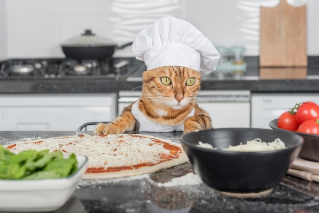Un gato disfrazado de chef prepara una pizza margarita en la cocina