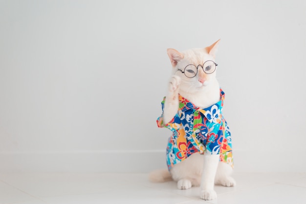 El gato divertido que se va de vacaciones, lleva la camisa y el sombrero de la playa en concepto del verano.