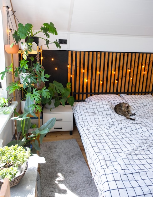 Foto gato doméstico deita-se na colcha e lava o rosto e lamber sua pele em loft estilo quarto interior parede preta com lâminas de madeira cama de metal lâmpadas retro guirlanda