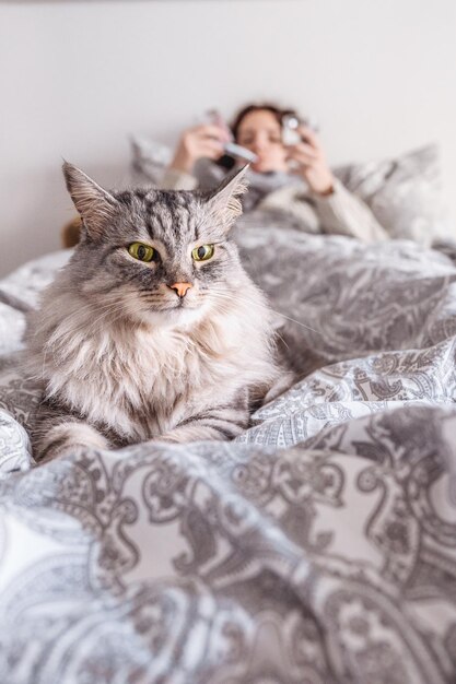 gato doméstico esponjoso de rayas grises yace en la cama enfermo o el niño dormido está en un fondo borroso