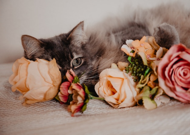 Gato doméstico peludo con grandes ojos verdes escondidos detrás de flores en una cama.