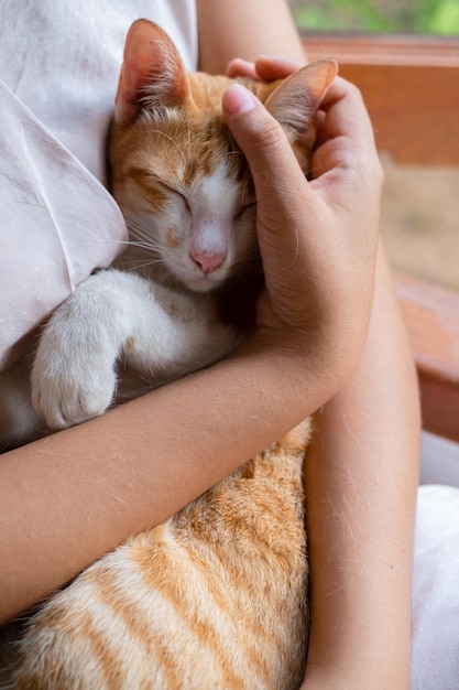 Un gato durmiendo en el brazo de una niña