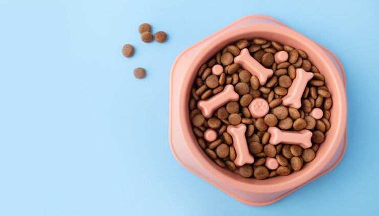 Gato e cão laranja lenta alimentação Bowl em fundo azul