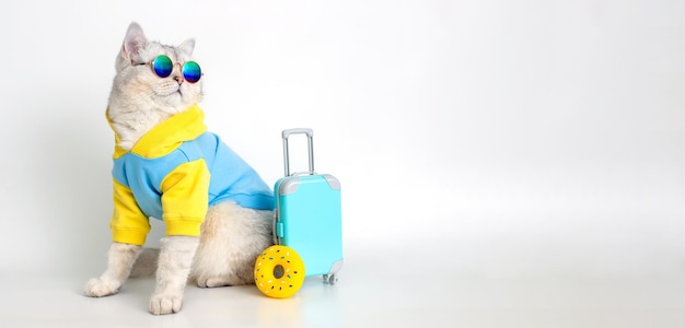 Gato engraçado em um moletom azul e óculos de sol se senta com uma mala em um fundo branco