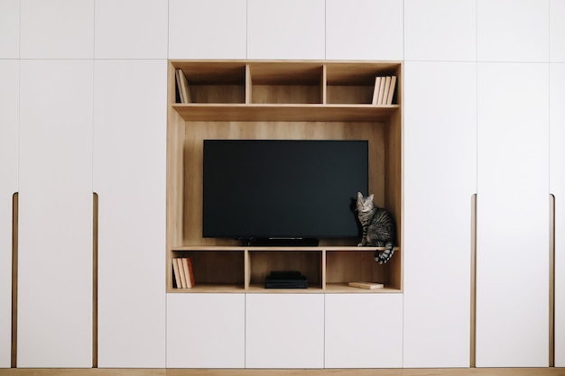 Gato engraçado no interior de uma sala de estar com tv e guarda-roupa