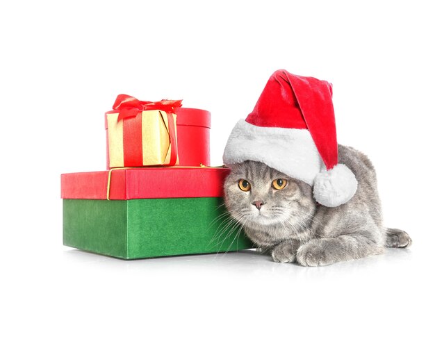 Gato fofo com chapéu de Papai Noel perto de caixas de presente na superfície branca