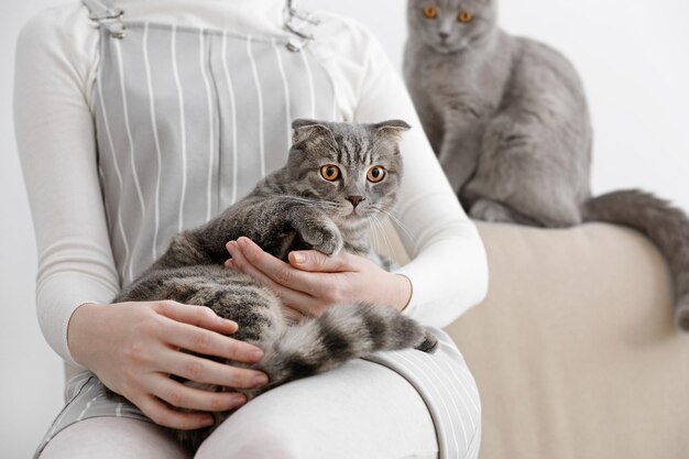 Gato fofo com o dono em casa de perto