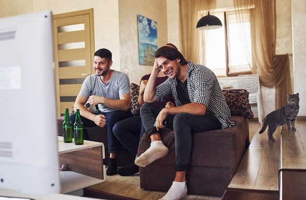 Gato en las gradas y gente riendo. Emocionados tres amigos viendo fútbol en la televisión en casa juntos.