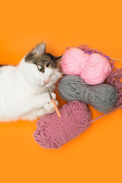 Gato jugando con crochet para tejer