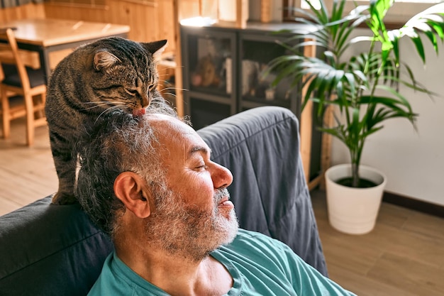 Gato malhado lambendo a cabeça do homem barbudo na sala de estar Relacionamento humano-animal Cuidados com animais de estimação Animal doméstico engraçado Dia do gato Foco seletivo Animal de estimação adotado