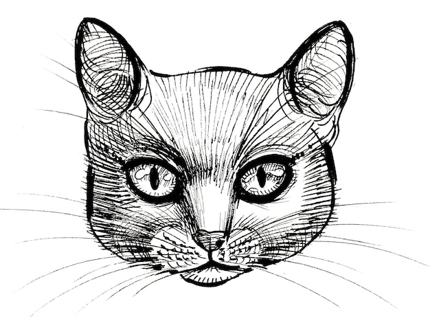 Gato olhando sério. Desenho de tinta preto e branco