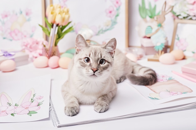 Gato de Pascua con huevos y flores. Gatito gris sentado en la mesa. Tarjeta de felicitación de primavera Feliz Pascua de resurrección. Decoración de Pascua. Pinturas de primavera en acuarela. Lugar de trabajo de diseñador y artista. Espacio creativo.