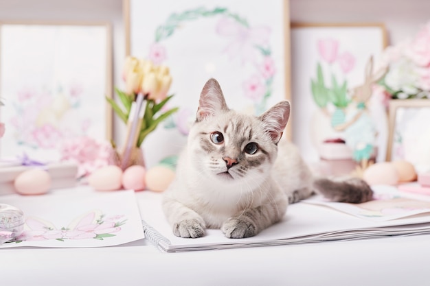 Gato de Pascua con huevos y flores. Gatito gris sentado en la mesa. Tarjeta de felicitación de primavera Feliz Pascua de resurrección. Decoración de Pascua. Pinturas de primavera en acuarela. Lugar de trabajo de diseñador y artista. Espacio creativo.