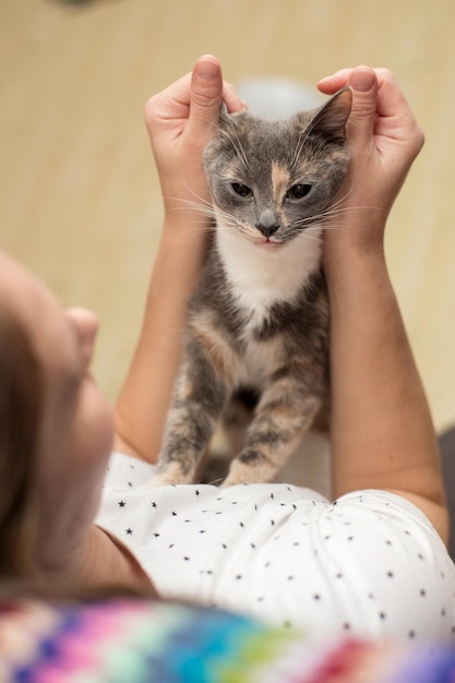 El gato pensativo afectuoso se sienta en el pecho del dueño que la abraza