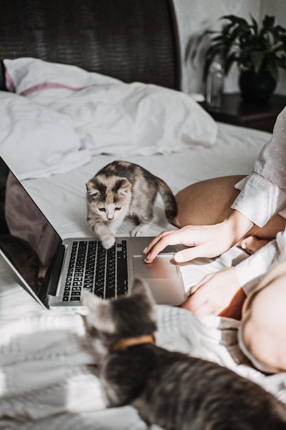 Gato y pequeño gatito mirando la computadora portátil mientras su dueña trabaja con él en casa