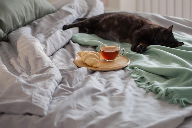 Gato preto com uma xícara de chá na cama