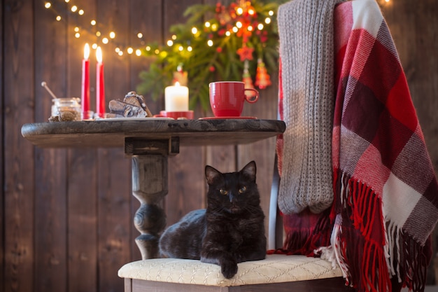 Gato preto na cadeira com mesa de madeira com decoração de natal