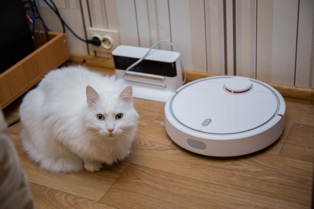 Un gato y un robot aspirador en la habitación.