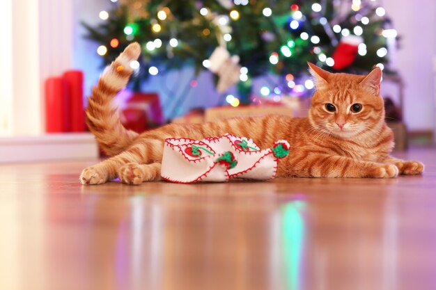 Gato rojo en casa en Navidad