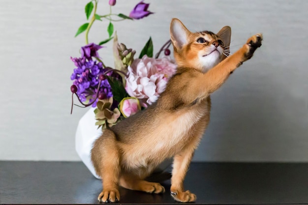 El gato rojo con flores en un jarrón.