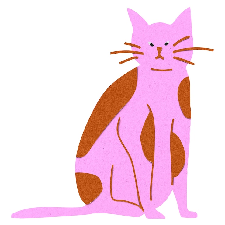 Foto gato rosa png papel de animais de estimação artesanato clipart fundo transparente