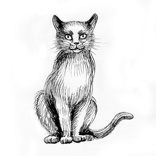 Gato sentado. Dibujo a tinta en blanco y negro