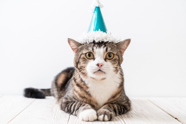 gato con sombrero de fiesta