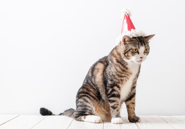 gato con sombrero de fiesta