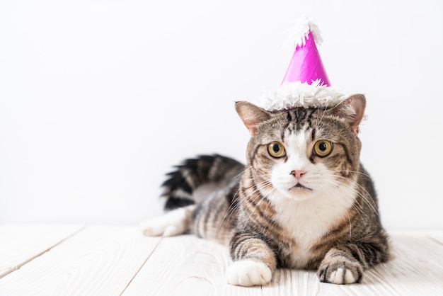 gato con sombrero de fiesta