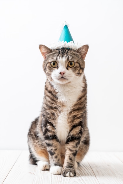 gato con sombrero de fiesta