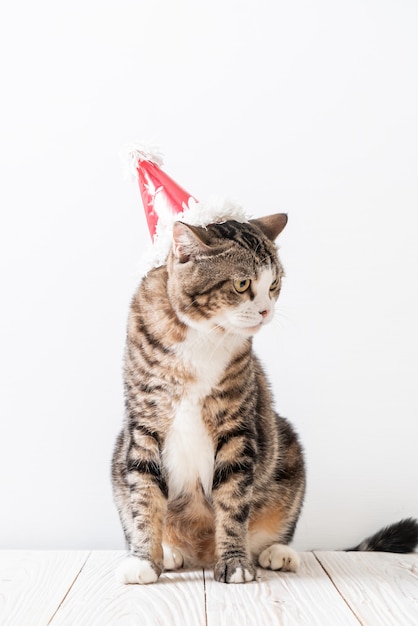 gato con sombrero de fiesta