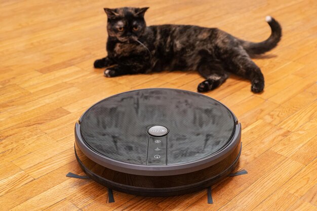 un gato sorprendido tirado en un suelo de madera parece asustado por una aspiradora robot