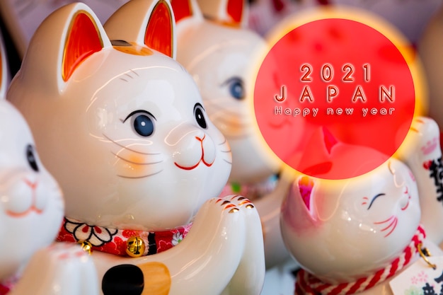 Gato de la suerte bendecido por la cultura tradicional japonesa