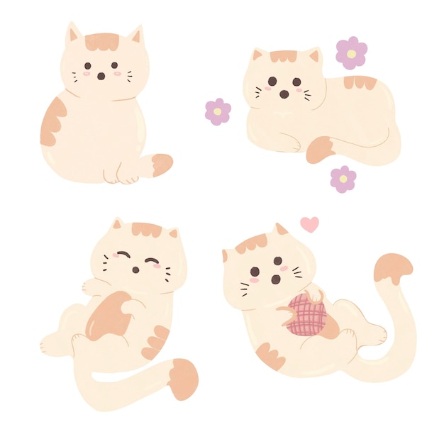 gato tão fofo