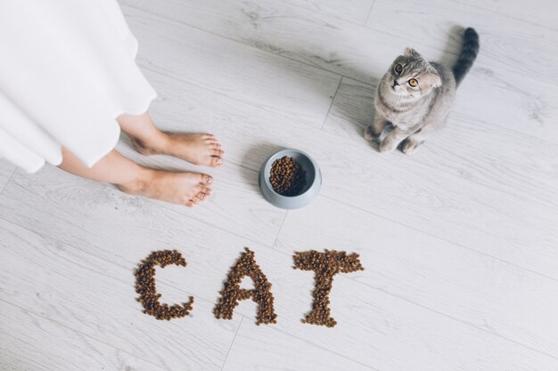 Gato en el tazón y palabra hecha de comida